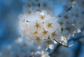 2019年端午节微信祝福语