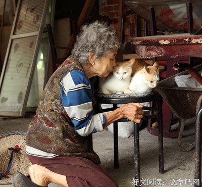 《老人与猫》观后感10篇