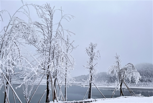 关于下雪时我们心情愉快的句子