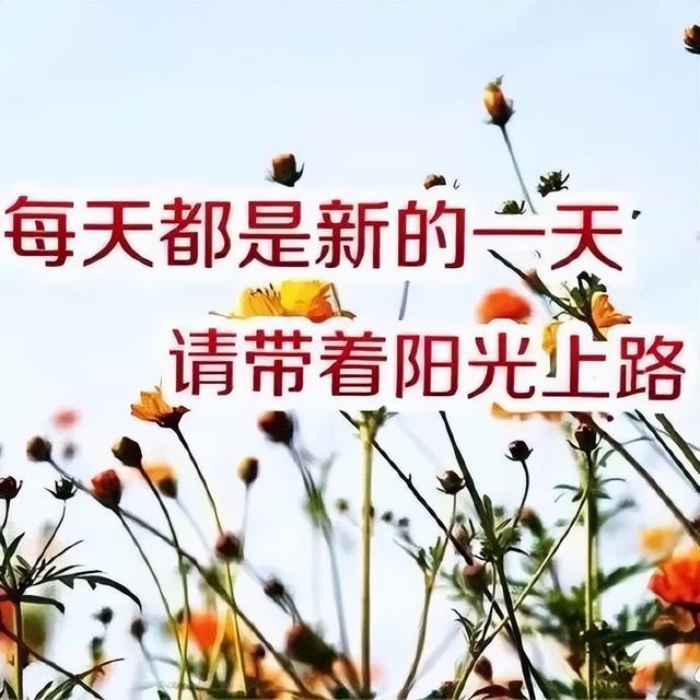 想喝酒的文案高级励志(我想喝酒的文案)