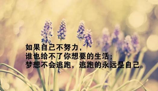 1句霸气的话穿透人心 十句话穿透人心的话有哪些？