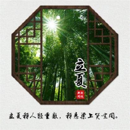 壁纸干净治愈系全屏高清 治愈系签名