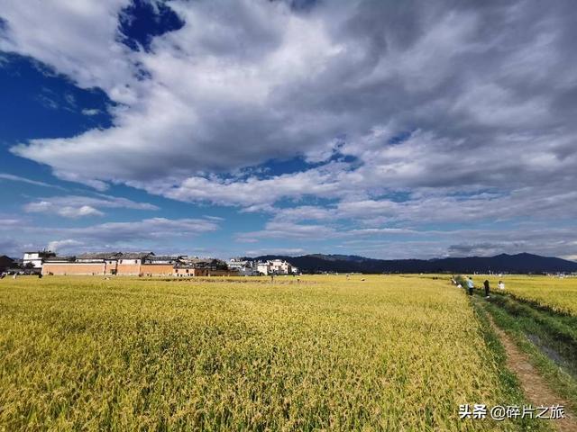 大理洱海文案高级励志(大理洱海发朋友圈文案)