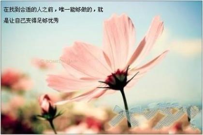 感恩教师节的话语 感恩唯美句子短句子