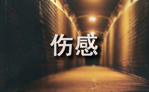 用爱来弥补我心灵的创伤的伤感美文