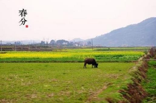 好的签名霸气句子简短 鼓励自己的霸气说说