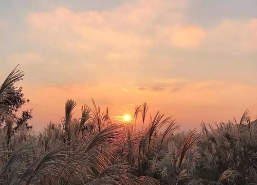 忧伤心情的句子 表达伤感忧郁心情的句子