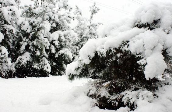 描述大雪的句子 下雪天唯美意境句子