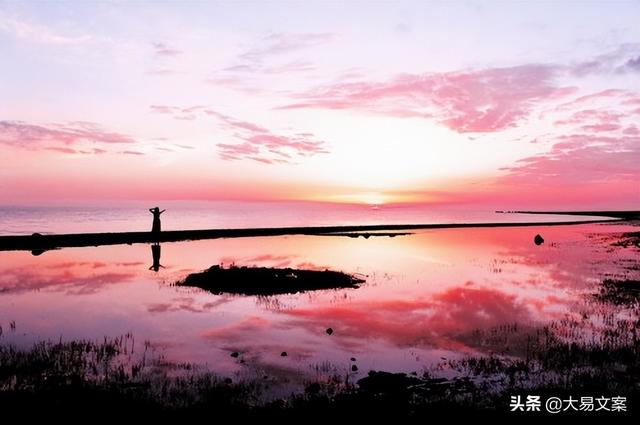 雷电视频文案励志(原神雷电将军大招台词)