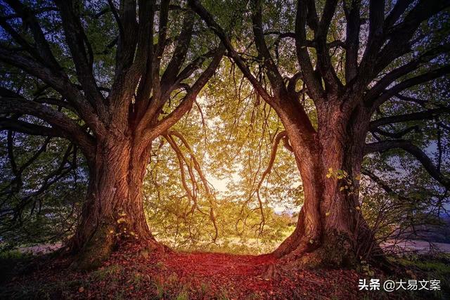 开学日的文案句子励志(青春励志长篇文案)