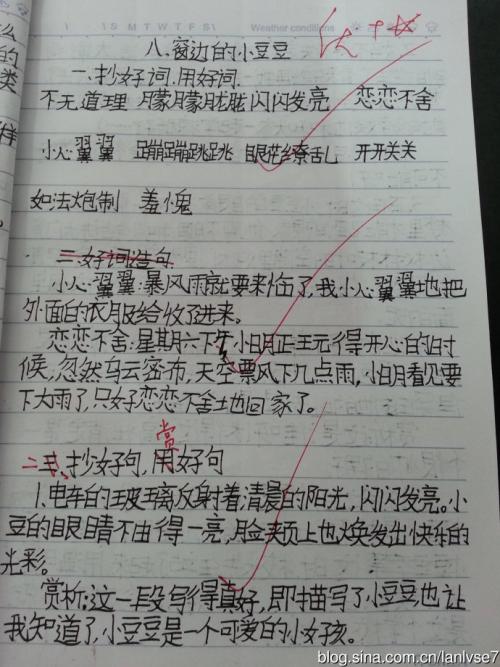 小清新八字句子 暖心八字短句小清新