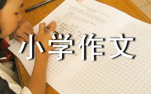 天生我材必有用小学作文五篇