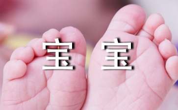 《数字宝宝》教案