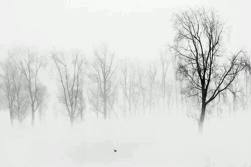 古风意境雪句子