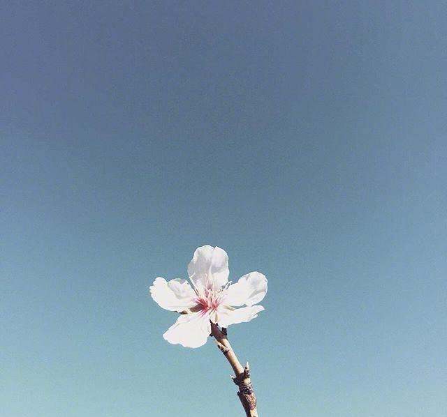 让自己努力的一句话，阳光向上，激励人心！