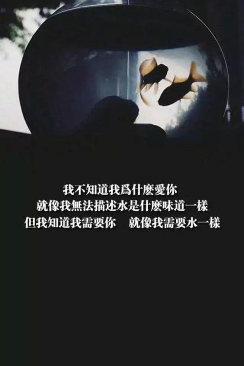 心酸的扎心的句子