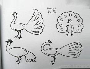 手抄报首页 手抄报简笔画 三年级手抄报制作孔雀 三年级手抄报简单一