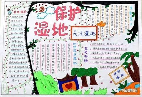 祁阳县中小学生湿地走进校园征文绘画手抄报大赛