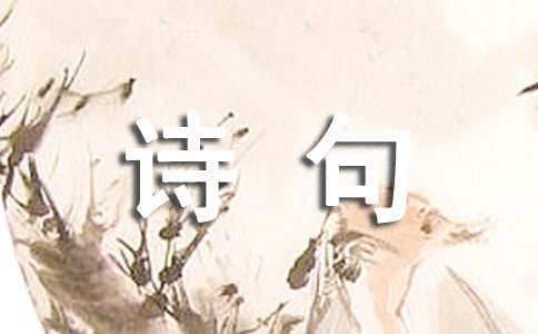 春分节气诗句（精选300句）