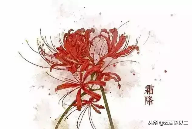 分享九首彼岸花的诗句，喜爱者可收藏