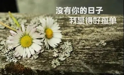 花与生活的经典语录