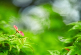 阳光森系女生唯美安静个性签名