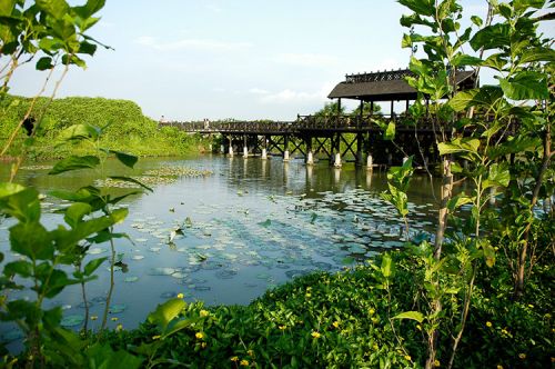 深圳海上田园好玩吗