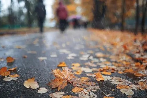 春天下雨去旅游的唯美句子