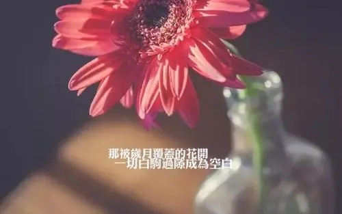 经典唯美霸气语录