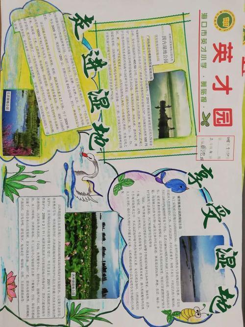 走进湿地 享受湿地手抄报评比活动--海口市英才小学