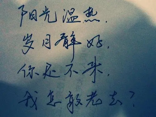 文字唯美的短句子