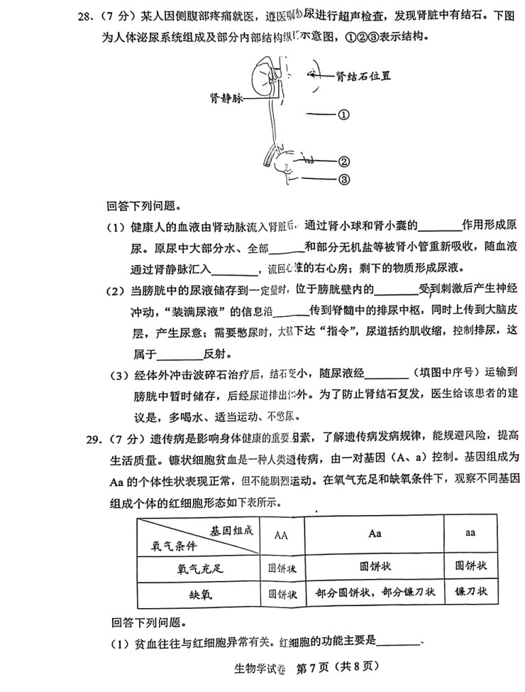 2024年河北中考生物真题试题