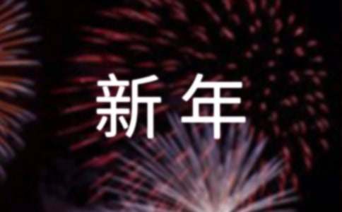 【精选】迎新年作文4篇