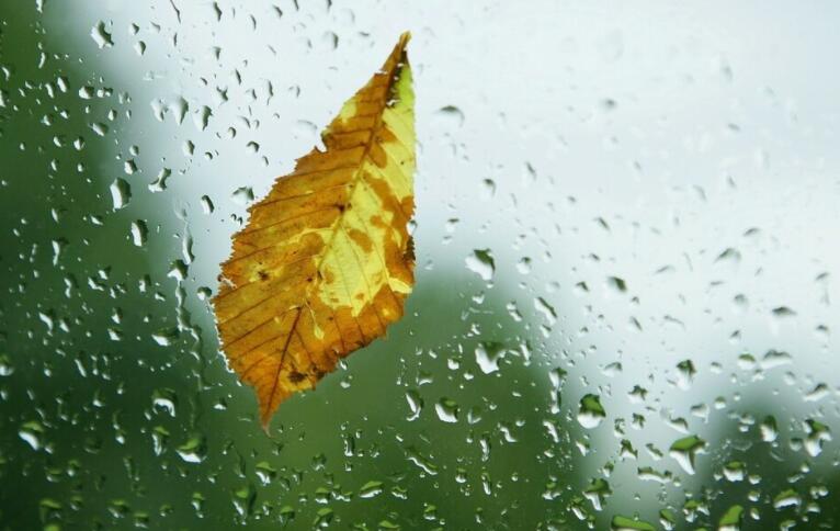 冬季雨夜的唯美句子