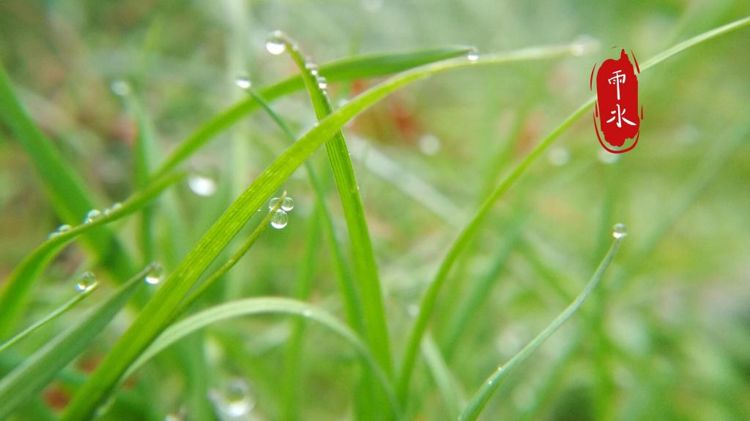 24节气之雨水节气图片大全