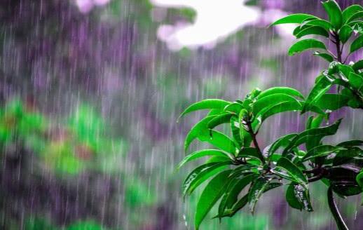 雨夜杂记