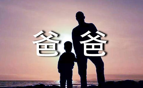 我的书呆子爸爸初二作文600字