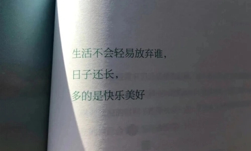 又老了一岁的心情说说