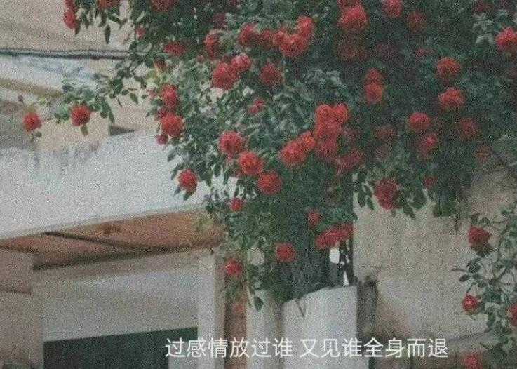 突然之间很伤感的句子