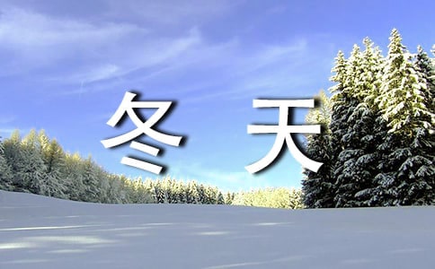 深圳的冬天作文3篇