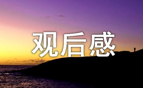 关于大年初一及《阿甘正传》观后感400字作文