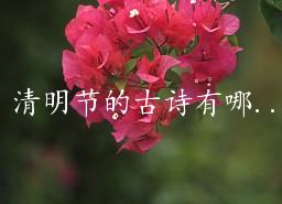 清明节的古诗有哪些（最出名的28首清明诗）