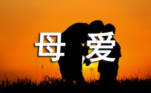 有母爱初二作文900字（精选5篇）