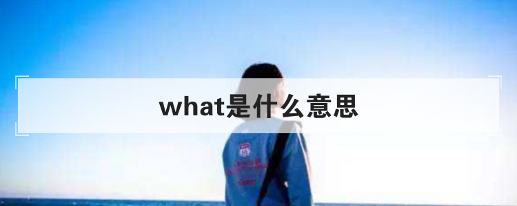 what是什么意思