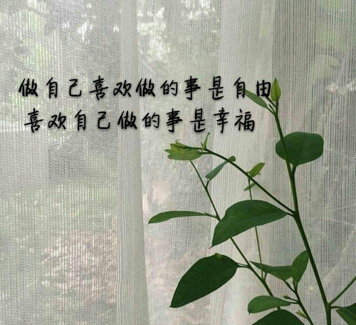 致自己的唯美句子