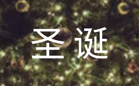 谁的圣诞节作文650字