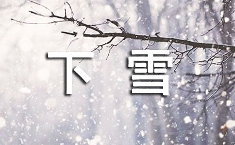 关于下雪的一年级作文