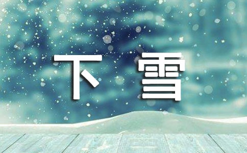 下雪了小学优秀作文