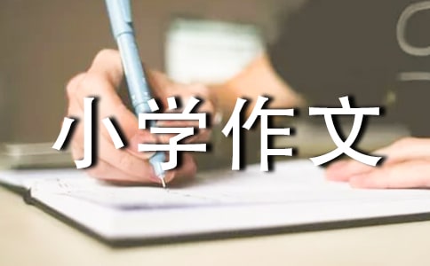 生命是什么小学作文350字