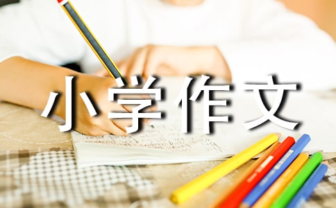 最好的选择小学作文500字